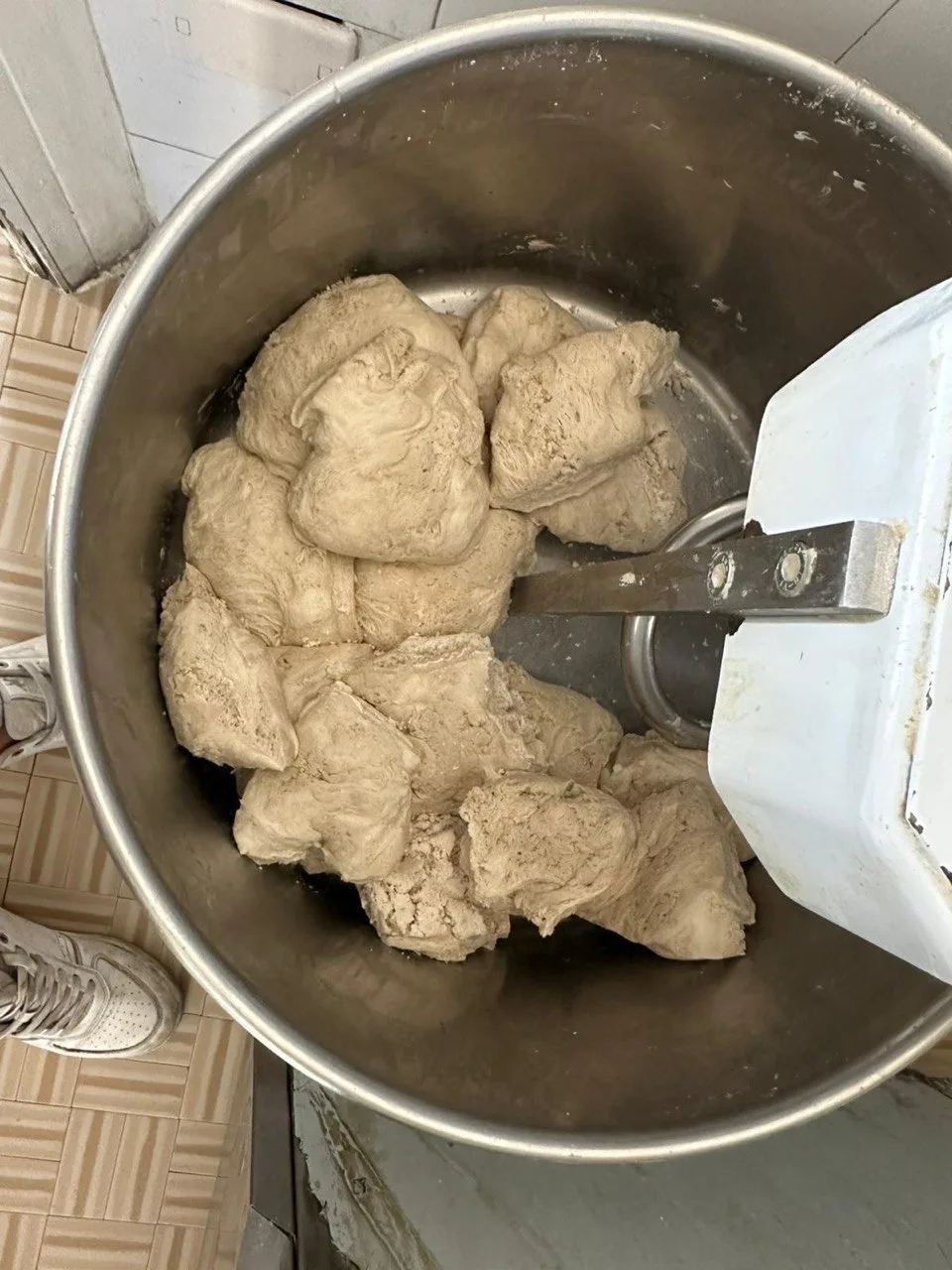 Biga — impasto madre Pizza Pazza Fermo